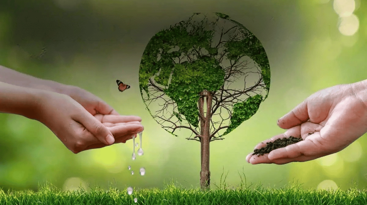 protect the environment
