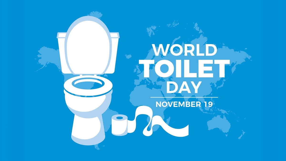 November 19 World Toilet Day